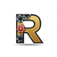 reelsofriches-fr-15068.pages.dev favicon